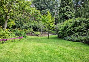Optimiser l'expérience du jardin à Sainte-Radegonde